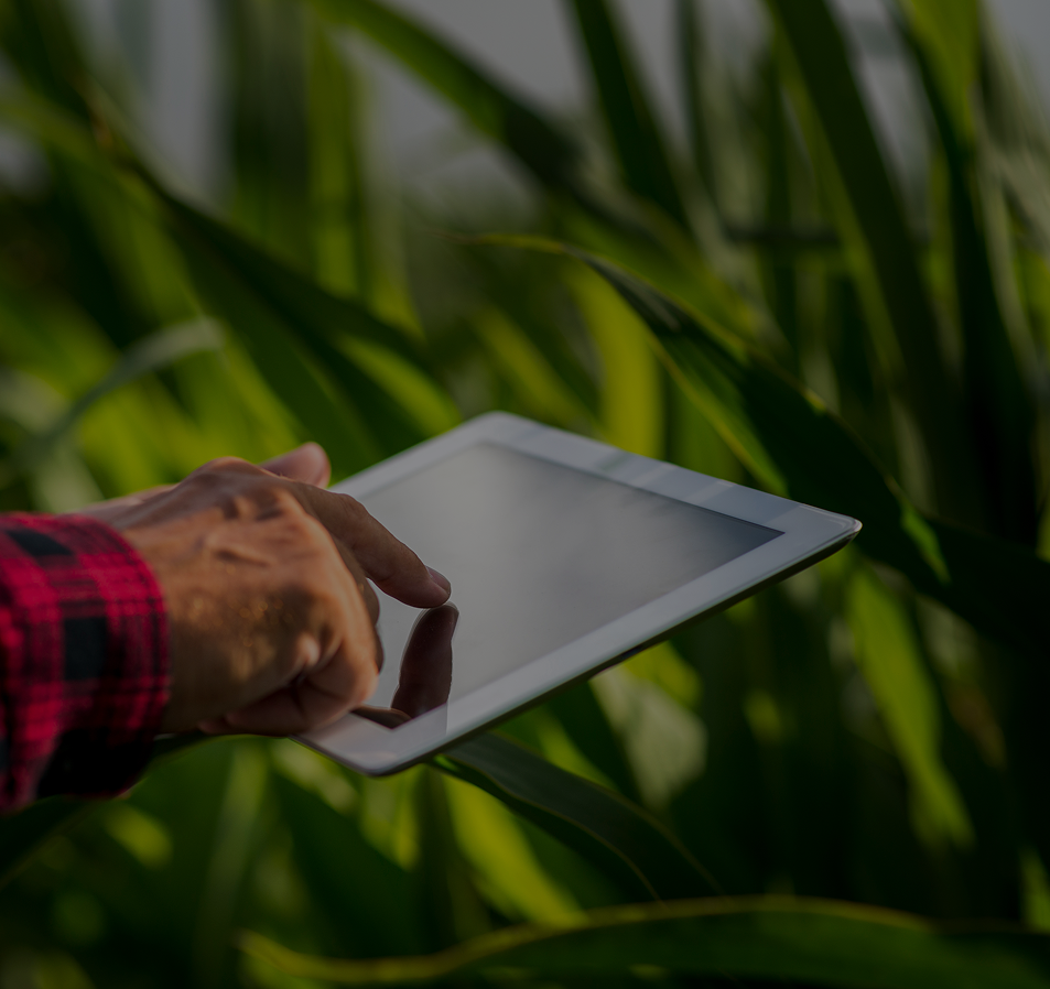 Visual pertanian digital AgroTrack